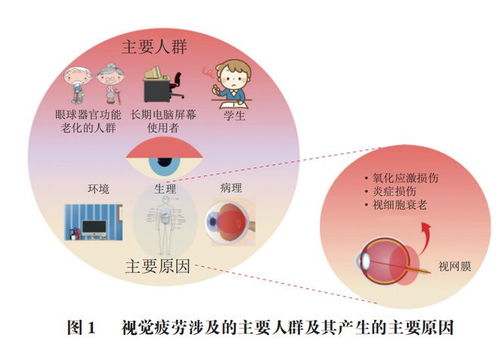 類胡蘿卜素類原料在緩解視覺疲勞保健食品中的應(yīng)用研究進(jìn)展——基于北京聯(lián)合大學(xué)閆文杰教授團(tuán)隊(duì)的研究
